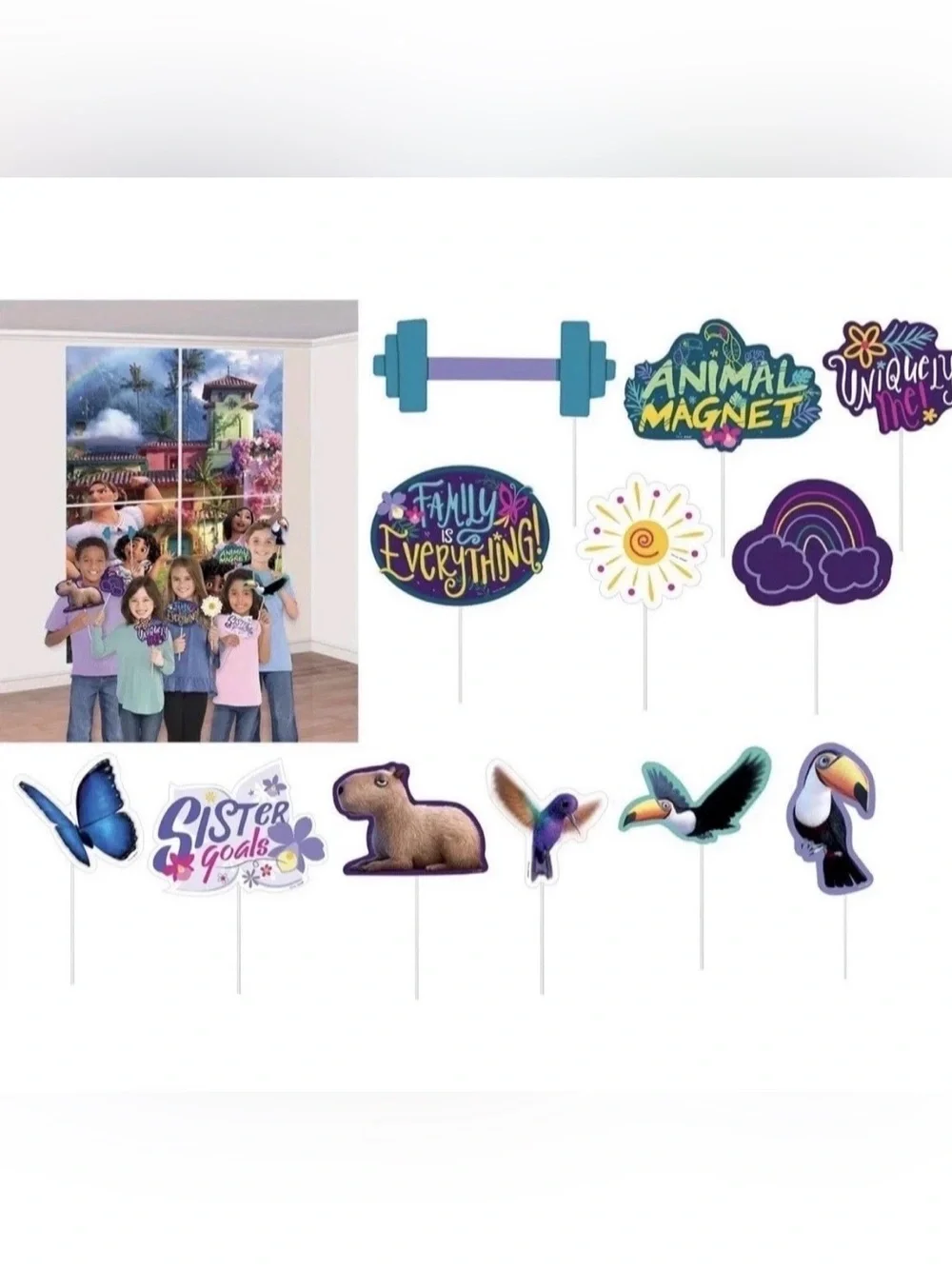 LOT DISNEY ENCANTO PARTY SUPPLIES BACKDROP WITH PROPS and 9” ROUND PAPER PLATES